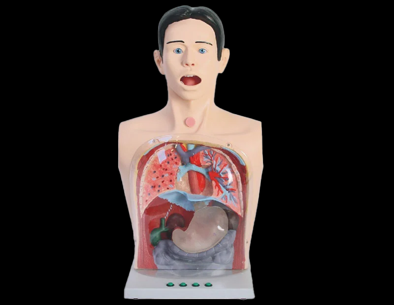 ����ʾ͸��ϴθ����ģ��